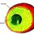 세포 소기관의 구조: 식물과 동물 세포 소기관의 구조와 기능