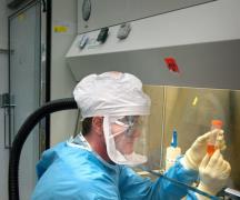 과학으로서의 미생물학 의료 미생물학은 미생물을 연구합니다.