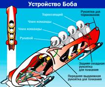 Bobsleigh group.  Bobsled.  Description, history of development.  How does a bob work in a bobsled and what are the responsibilities of the crew members?