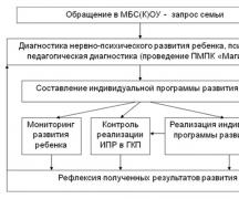 Early comprehensive assistance to children with disabilities and their families in Russia Early comprehensive assistance to children with disabilities and their families