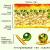 Lichens - structure, reproduction and feeding methods